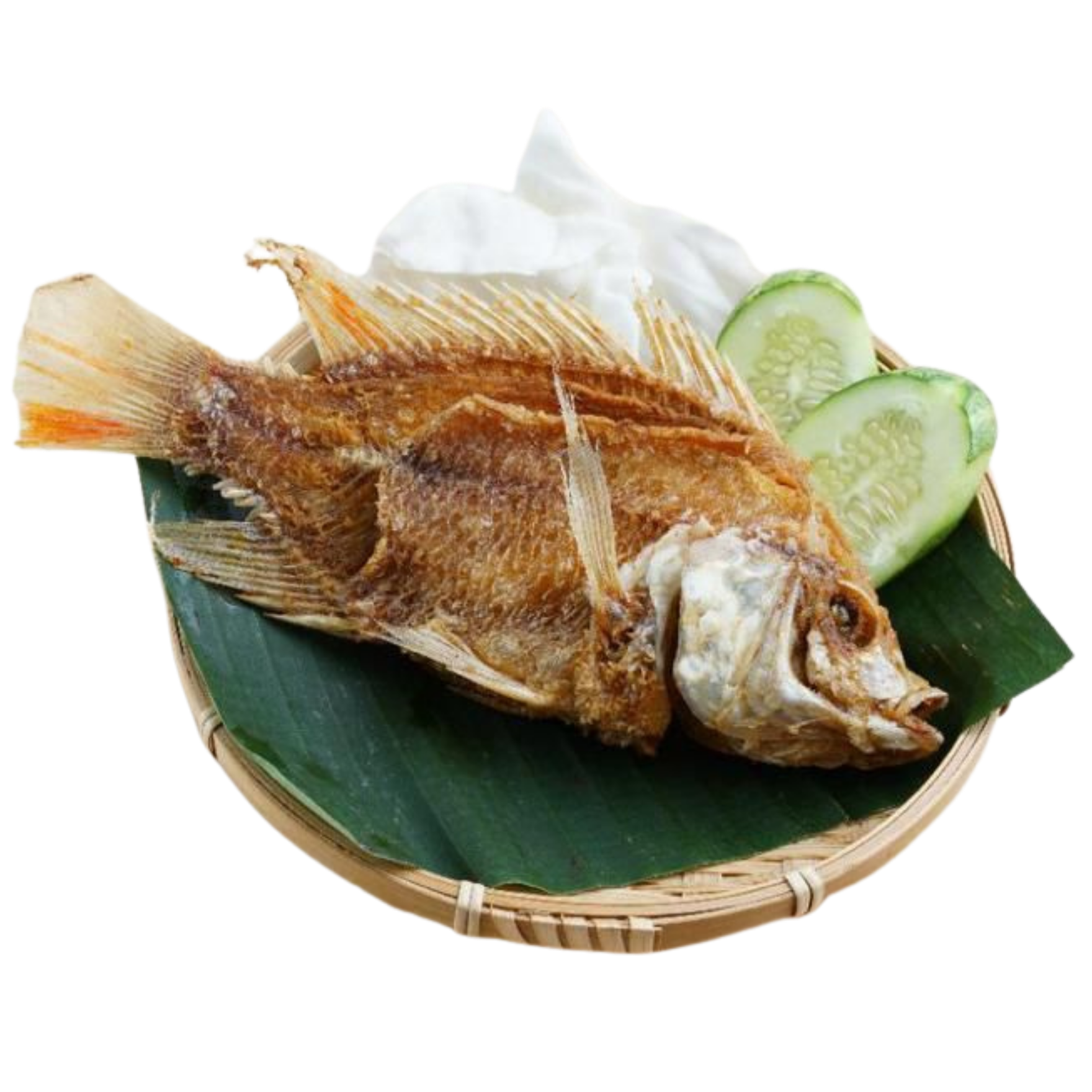 Ikan Talapia